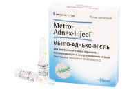 МЕТРО-АДНЕКС-ИН’ЄЛЬ